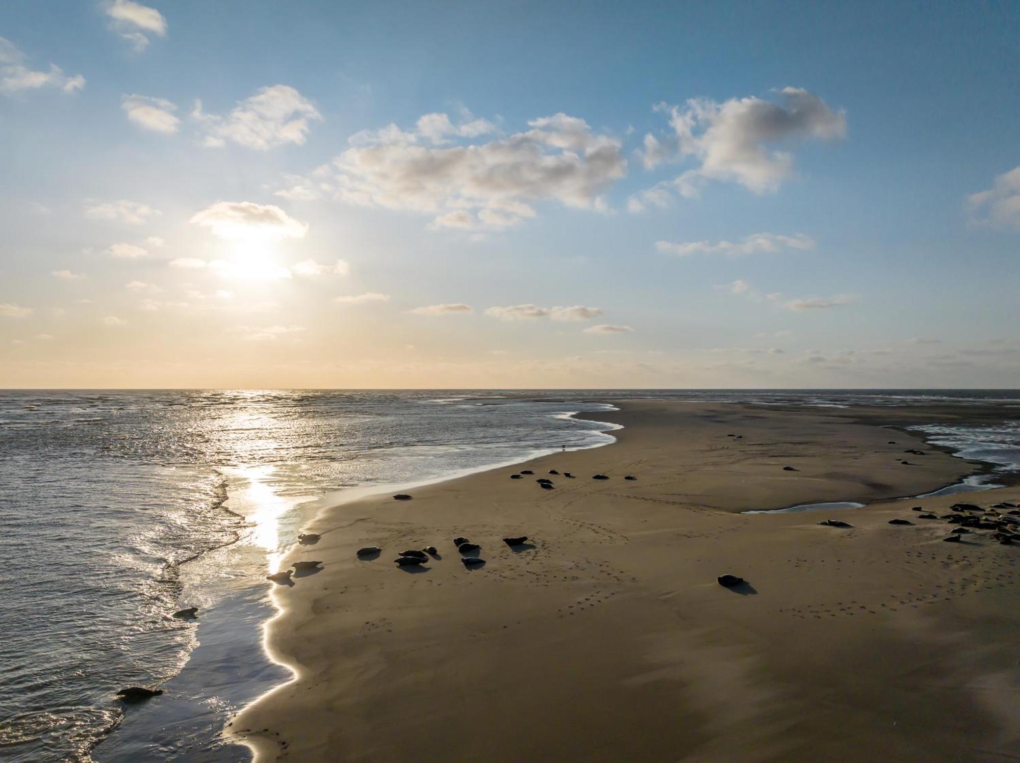 Hotel Renesse Kültér fotó